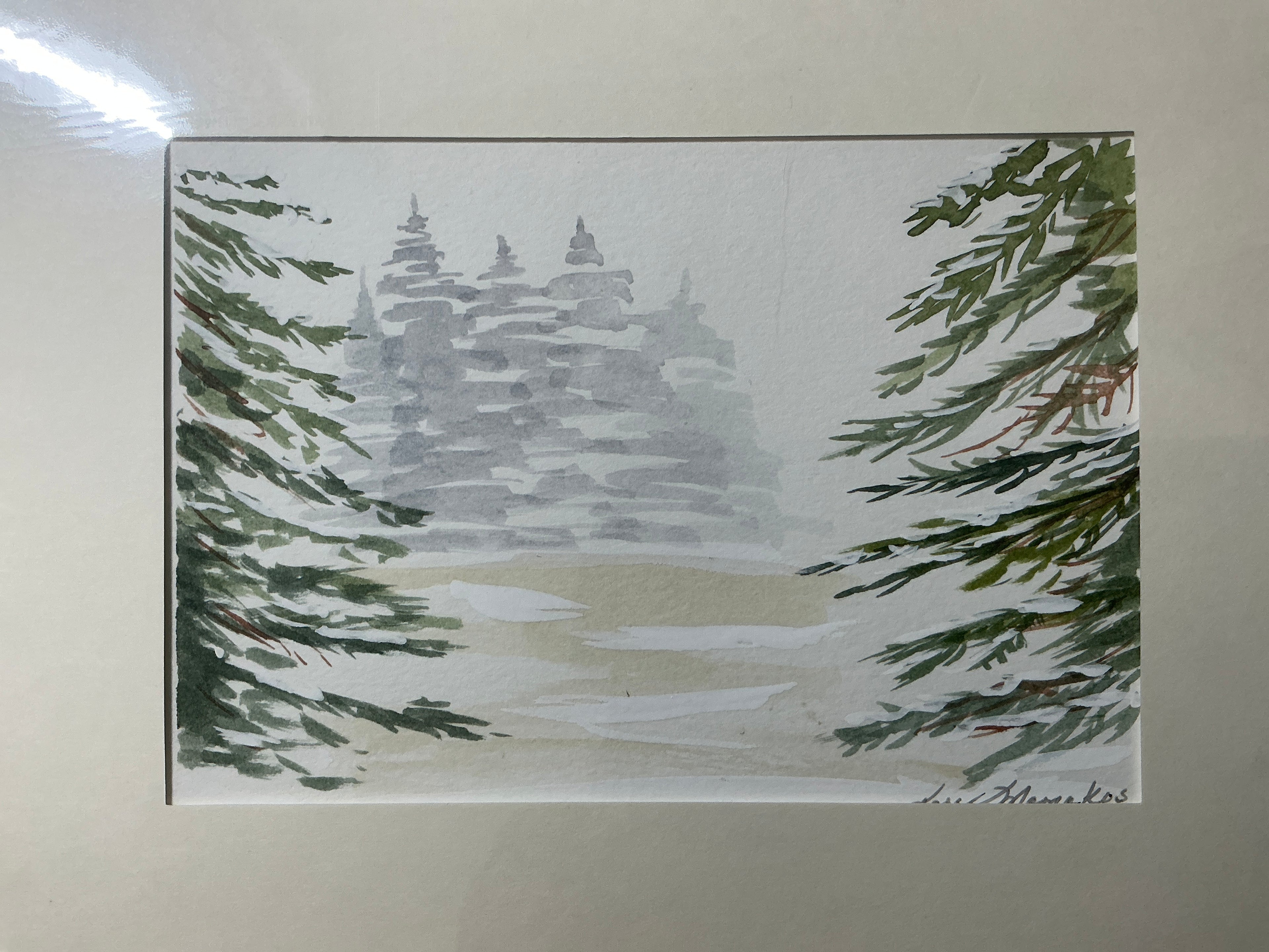 Pine Forrest