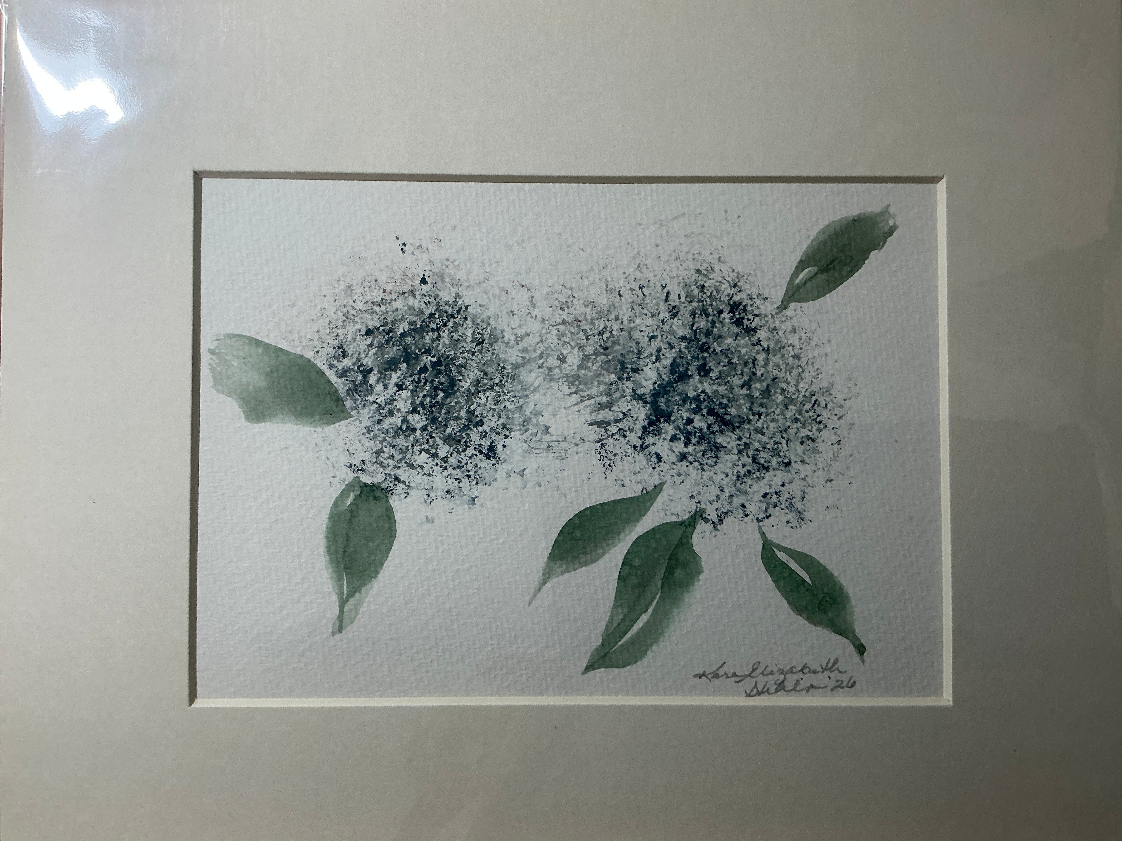 Blue Hydrangea