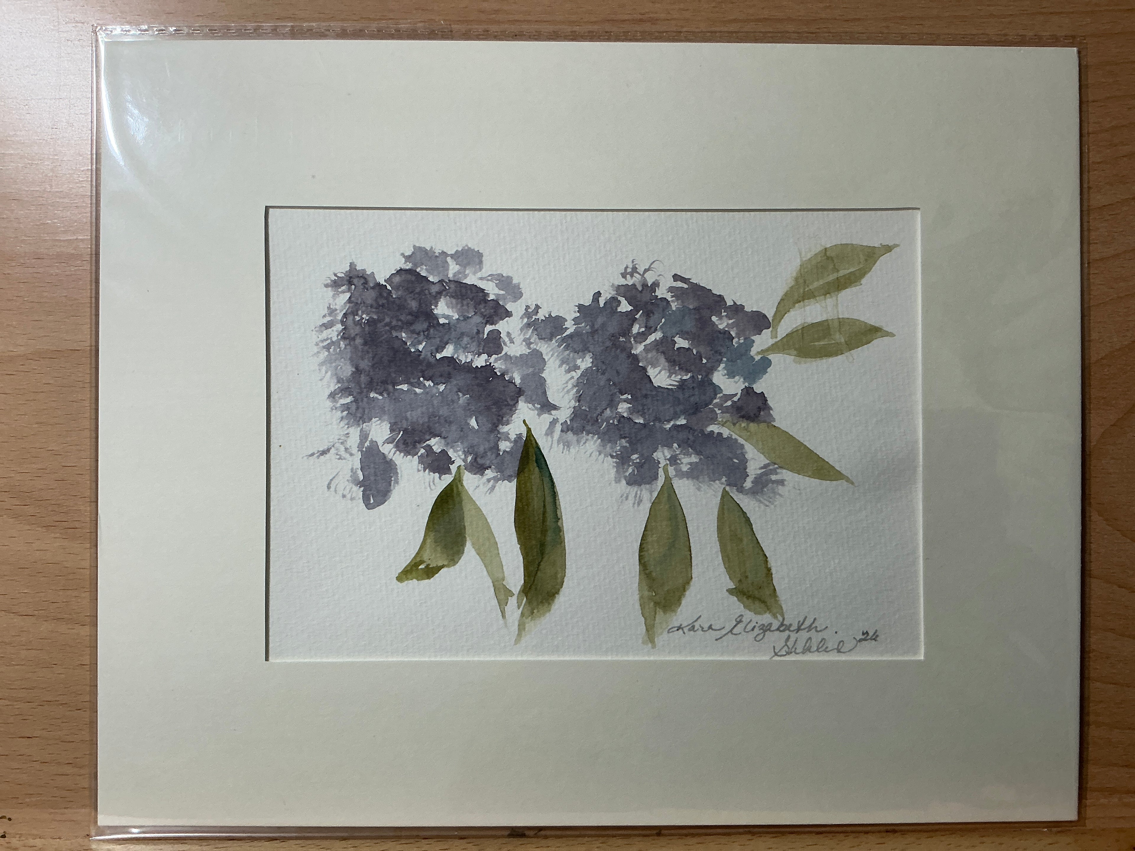 Purple Hydrangea