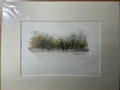 Marsh grasses