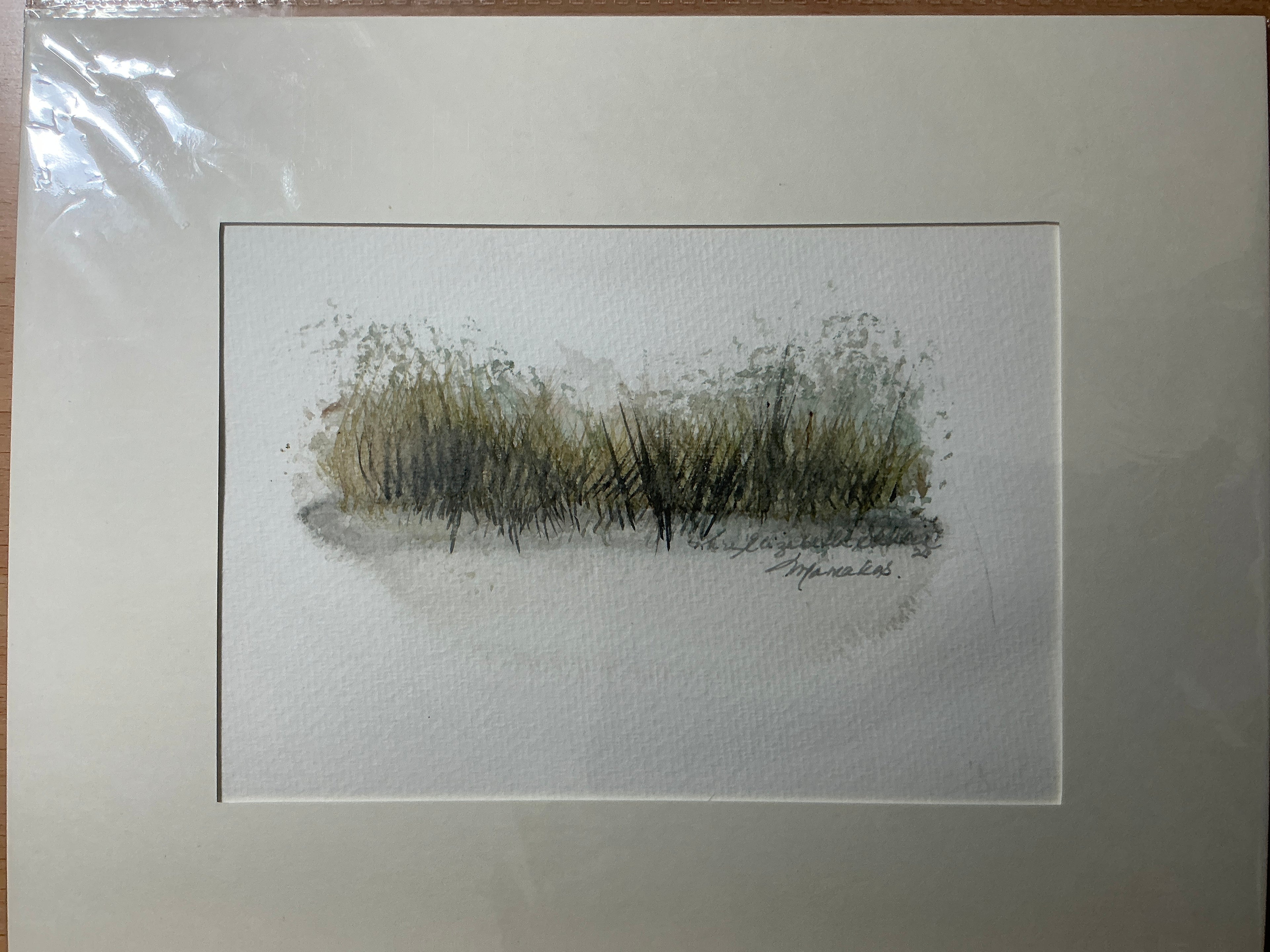 Marsh grasses