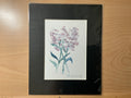 Lilacs 2