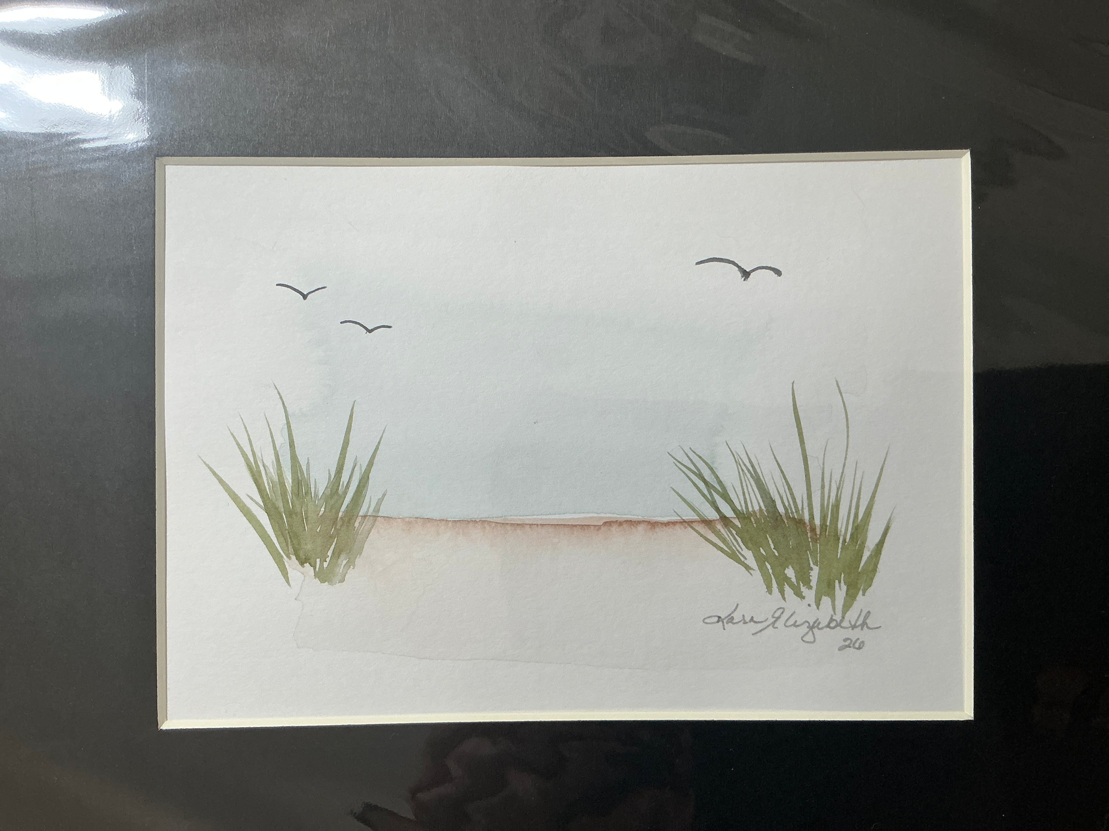 Beach gulls