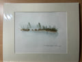 Marsh in spring