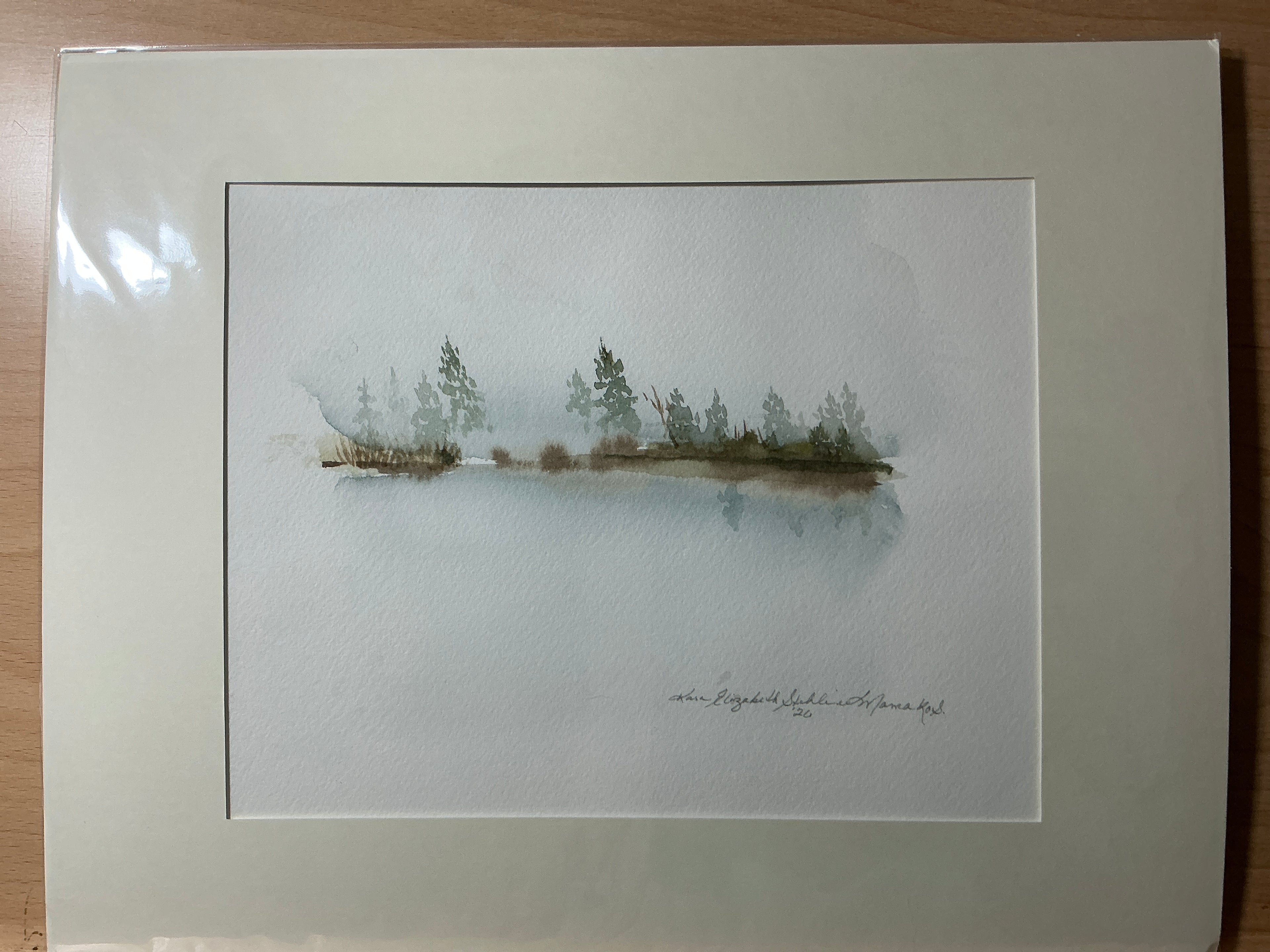 Marsh in spring