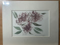 Dusk Hydrangea