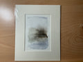 Marsh Grasses 2