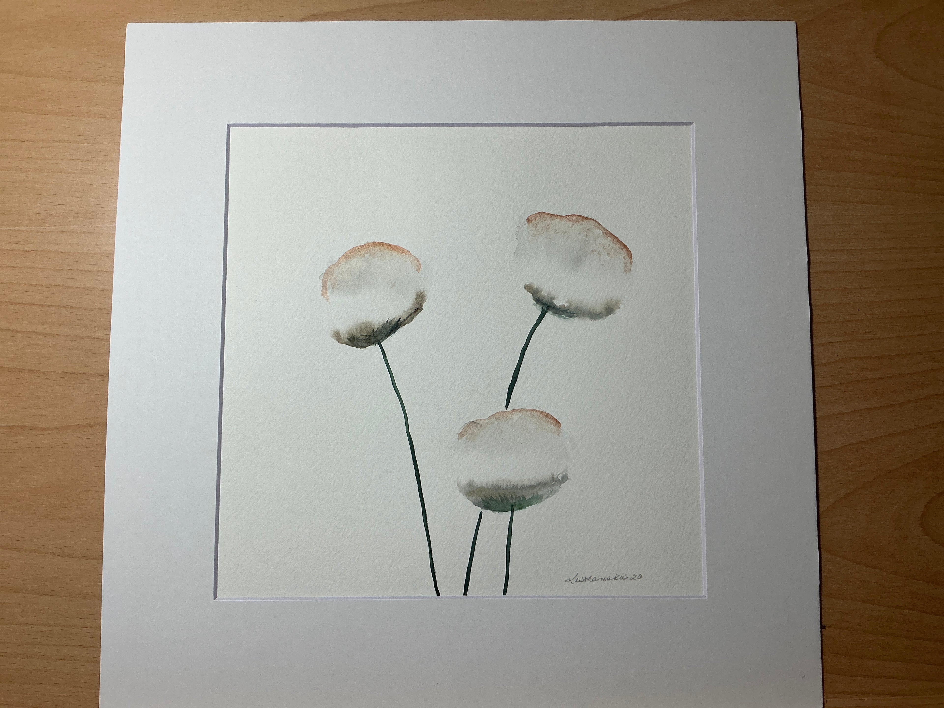 Cotton Flowers